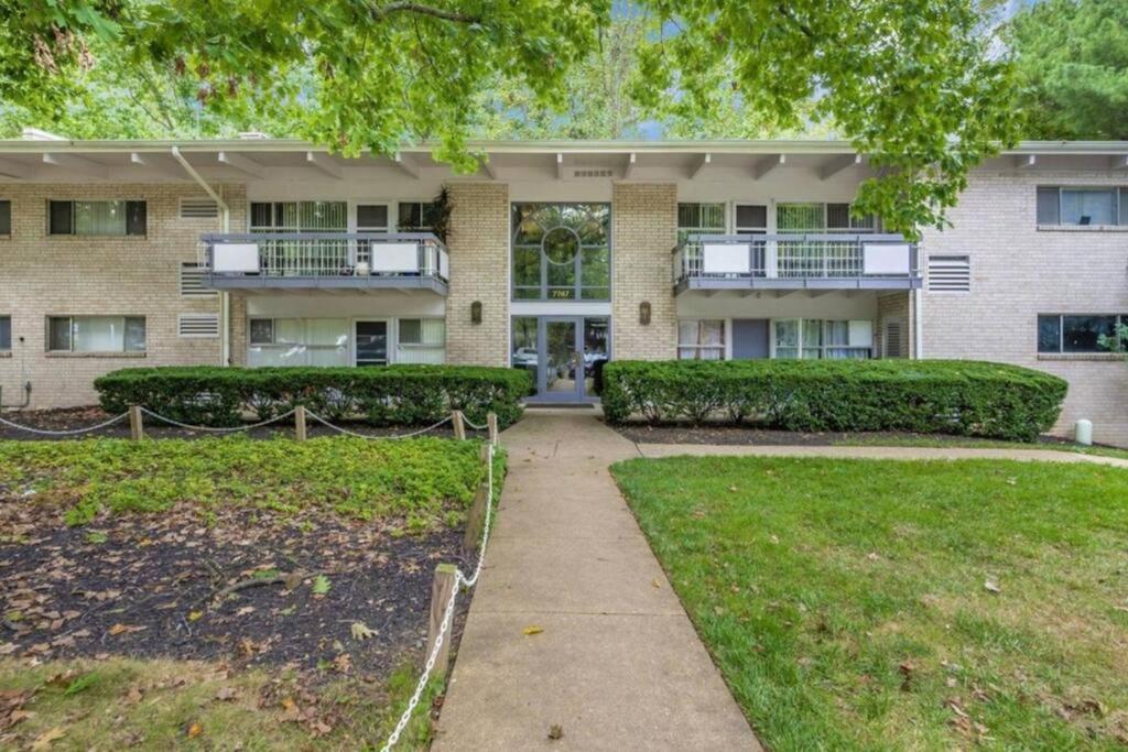 Entire One Bedroom Apartment Annandale Exterior foto